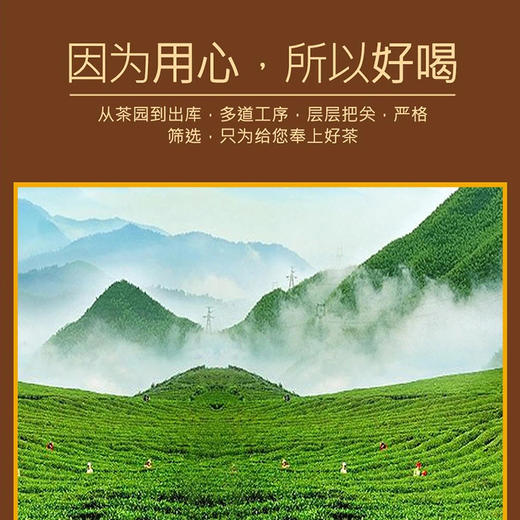 元正红茶清饮滇红160g礼盒装 商品图3