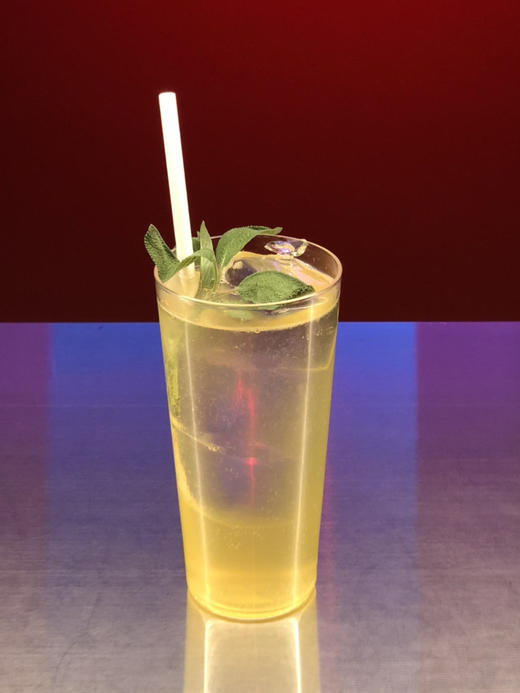 鼠尾草开胃酒 商品图0