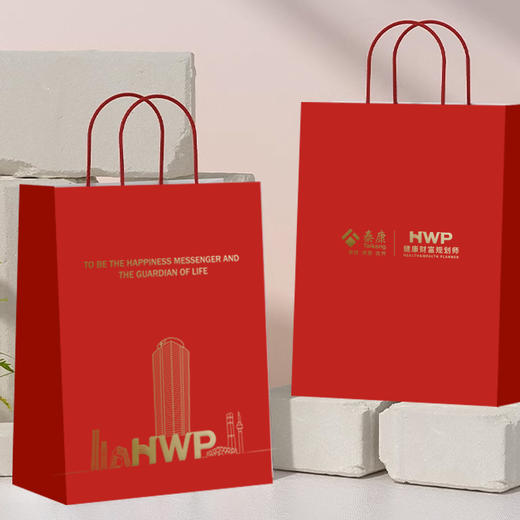 泰康HWP专版手提袋 商品图0