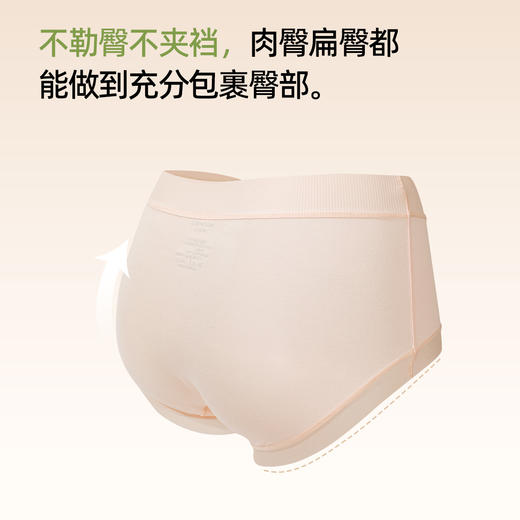 【5条盒装】熳洁儿 女士大码内裤莫代尔中腰桑蚕丝聚乳酸底档轻薄25262101 商品图2