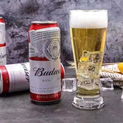 百威/Budweiser 啤酒 3.6%vol 500ml*3罐/提 商品图3