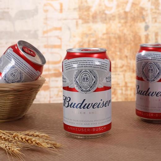 百威啤酒 330ml(酒精度:≥3.6%vol) 商品图5