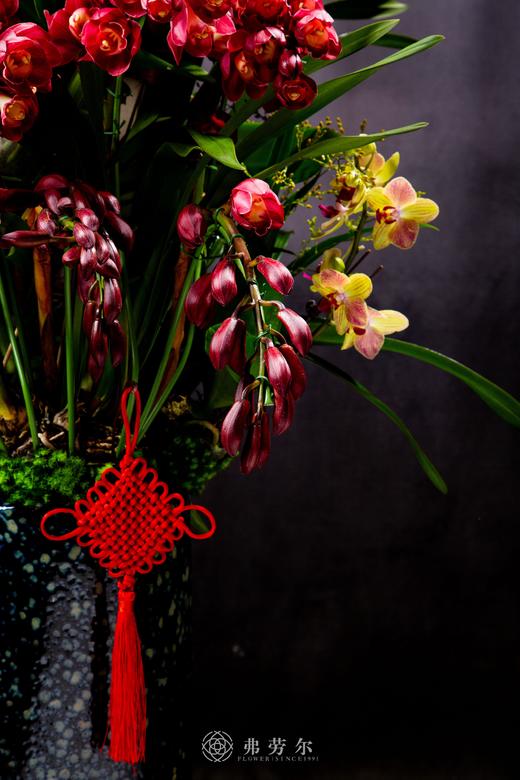 新年好彩头 商品图4