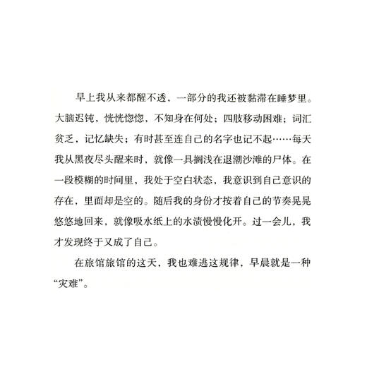 火夜  埃里克 埃玛纽埃尔 施米特 著 三联书店 商品图4