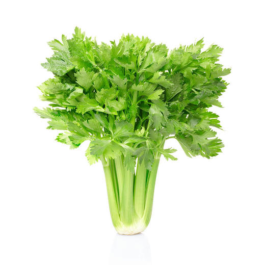 MM 山姆 有机西芹 600g 商品图0