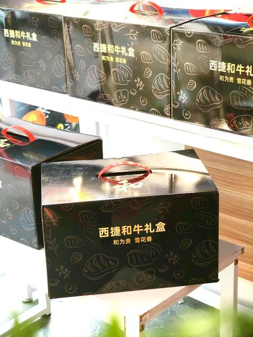 西捷牛肉568型 商品图0