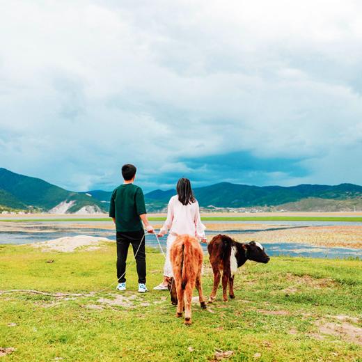 野趣香巴拉｜云南 ·丽江·香格里拉深度3日游【go小团】 商品图3