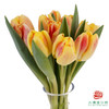 【单瓣郁金香】 假日 10枝一扎 商品缩略图2