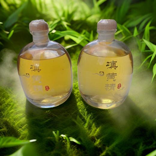 滇黄精露酒【礼盒装】500ml*2 商品图1