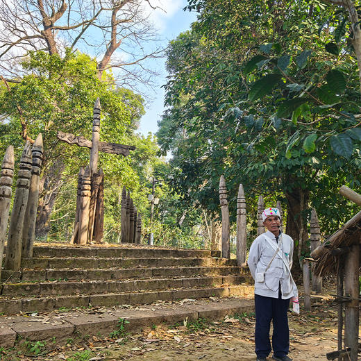 云南·景迈山 | 哎冷山圣山徒步+布朗制茶体验半日游/一日游（景迈山当地向导+含接送） 商品图2