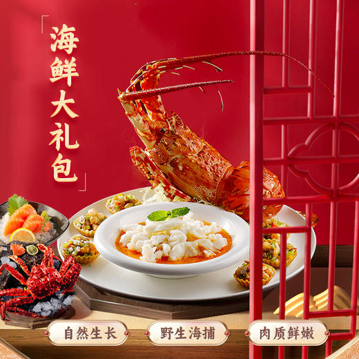 晟俐甄选 澳洲鲜活速冻龙虾 智利帝王蟹 海鲜全家福新年礼盒 商品图0