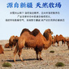 驼能量初乳配方驼奶粉   300克/罐（买一送一） 商品缩略图2