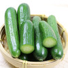 MM 山姆 有机水果青瓜 1kg 商品缩略图2