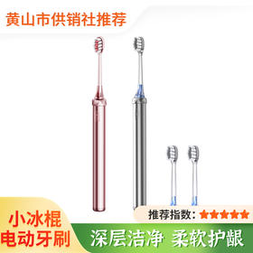 【创维】小冰棍电动牙刷 成人超声波电动牙刷 成人情侣款男女士通用