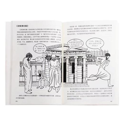 图画通识丛书：柏拉图 戴维·罗宾森 著  西方哲学 三联书店 商品图2