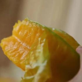 云南元江  生态杨桃