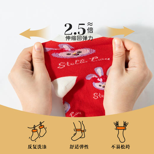 贝贝怡宝宝袜（5双装）ZB5DP077 商品图1