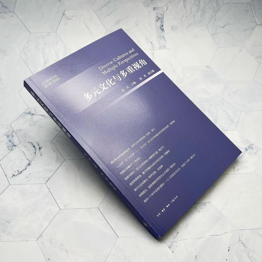 多元文化与多重视角 周宪 主编 陈勇 副主编  三联书店 商品图1