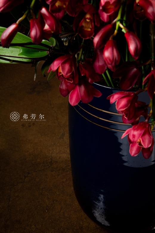 富贵好运来 商品图5