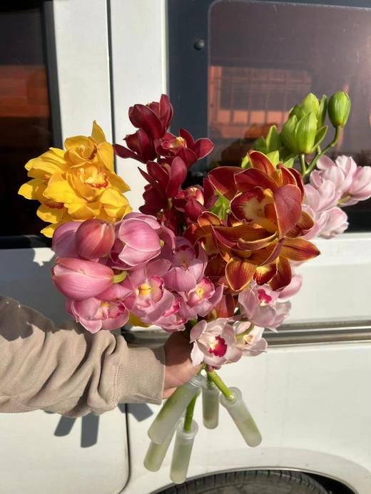 精品花卉精品大花蕙兰热卖 商品图1