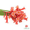垂筒花-红色10枝一扎 商品缩略图1
