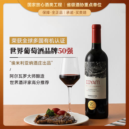 【世界葡萄酒品牌50强】柯雅干红葡萄酒 智利空加瓜谷产区 13.5%vol 商品图0