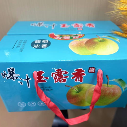 【礼盒装】玉露香梨 约4kg/件 商品图0