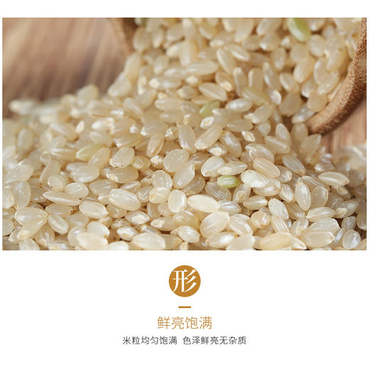 阿福视界 | 东北糙米，低脂饱腹自带胚芽，2.5kg 商品图9