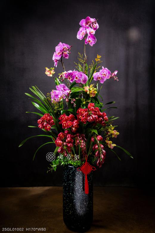 新年好彩头 商品图0