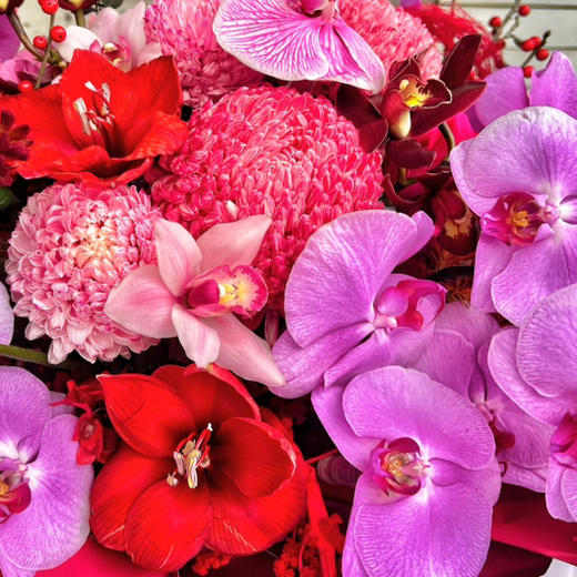 人间富贵花蝴蝶兰冬青吊米花瓶 商品图2