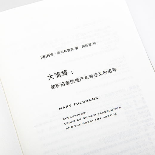 理想国译丛069·大清算：纳粹迫PO害的遗产与对正义的追寻 商品图9