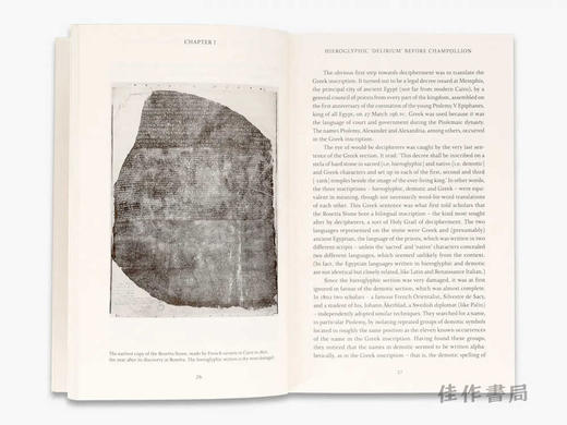 Cracking the Egyptian Code: The Revolutionary Life of Jean-Francois Champollion / 破译埃及密码：让-弗朗索瓦·商博良的 商品图3
