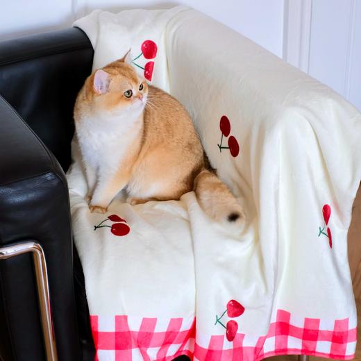 BLEU et ROSE【viva la vida】法兰绒毛毯沙发盖毯 商品图1