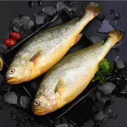 [上海企团]黄鱼小姐大黄鱼_475g/袋 商品图0