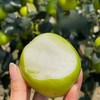 云南版纳蜜罐苹果枣，开年口感水分甜度都特好！中小果仅秒400件！ 商品缩略图1