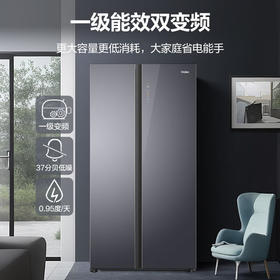 海尔（Haier）610升 大容量 一级双变频 阻氧干湿分储  烟罗缎彩晶玻璃面板 光彩智控UI大屏 黑金净化 BCD-610WGHSSE5S1 星蕴银