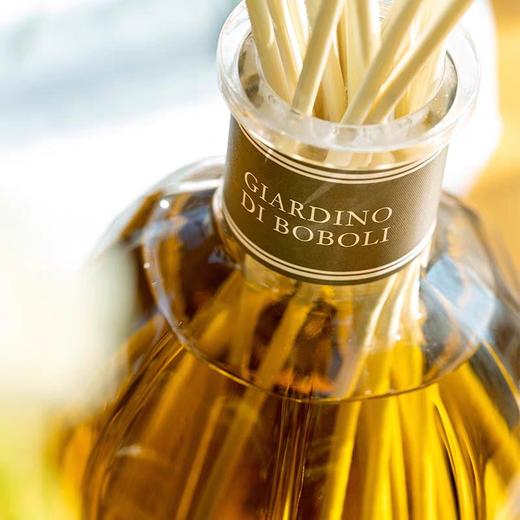 意大利Dr.Vranjes馥意世波波里花园藤条香薰留香久卧室 商品图1