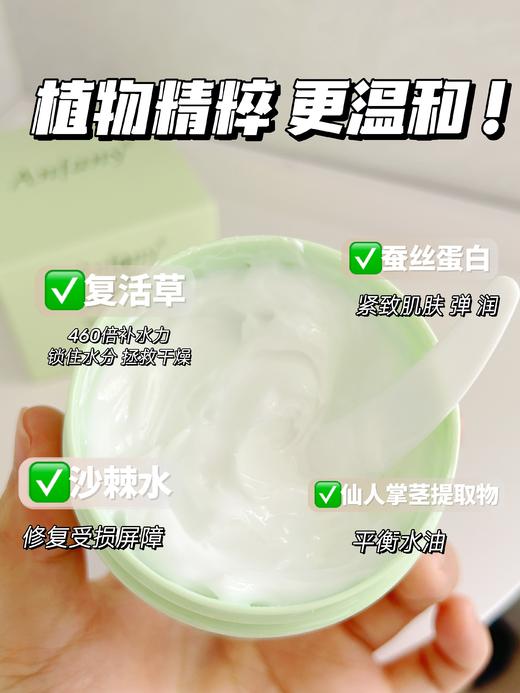 🤗保持水润Q弹开挂神器👉「Anfany伊芳妮复活草涂抹式面膜」✨ 「复活草」🌿「仙人掌茎🌵提取物」多种强补水植物 商品图1