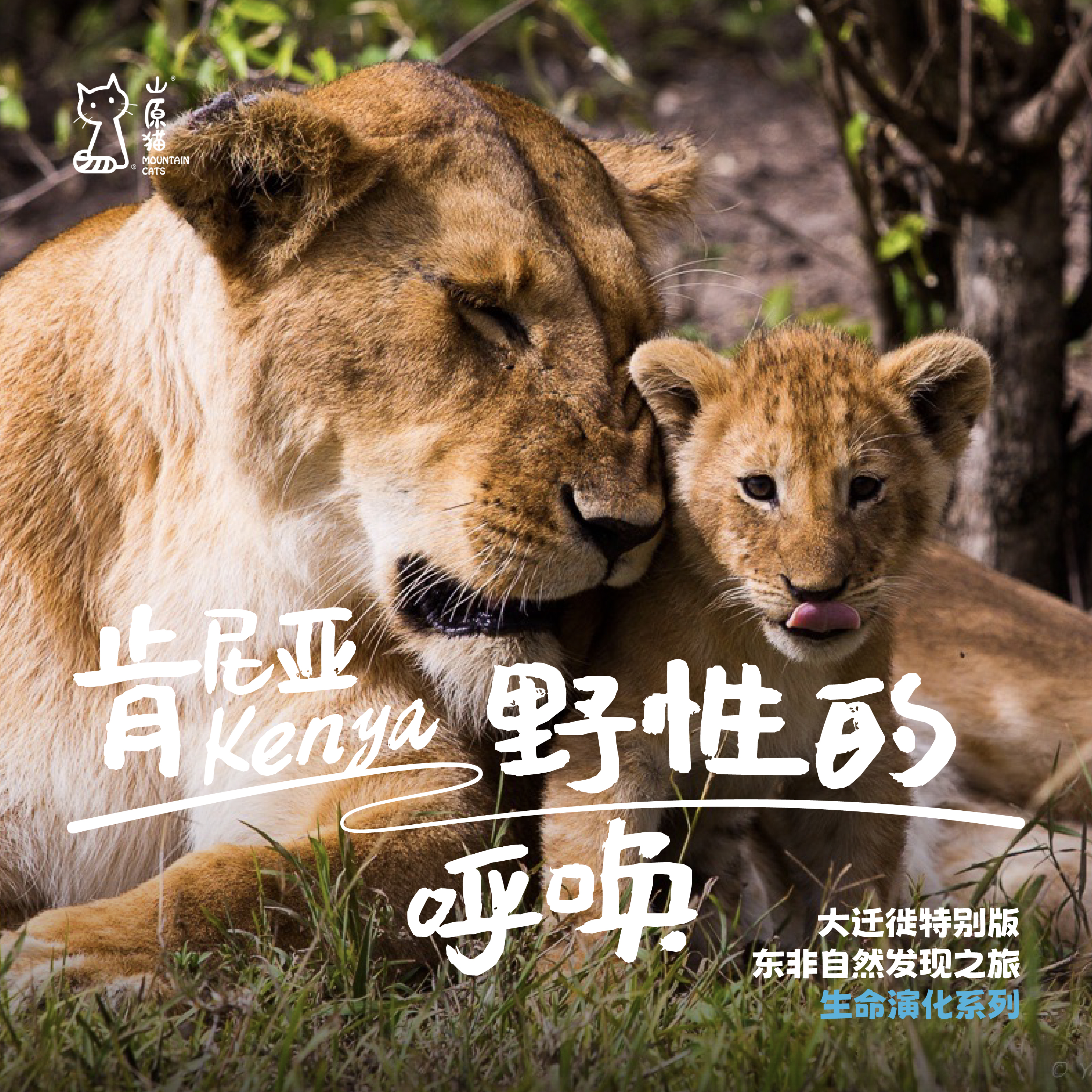 「已成团 · 2026.7.20-7.28 大迁徙特别版」野性的呼唤 · 肯尼亚自然发现之旅