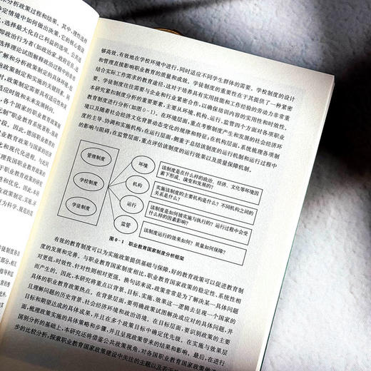 职业教育国家制度与国家政策比较研究 修订版 办学模式 商品图7