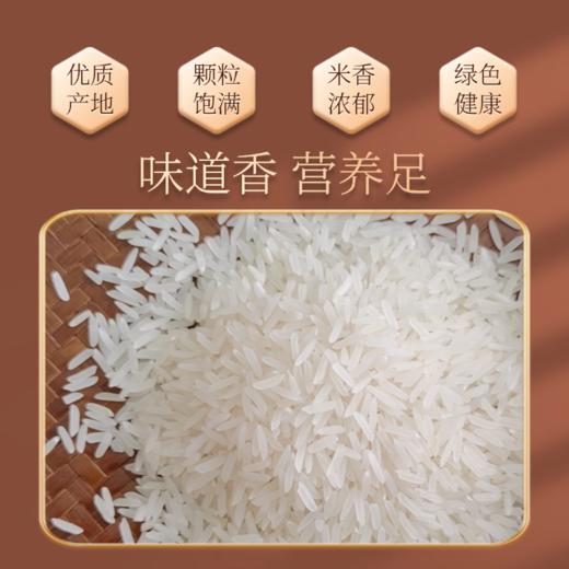 和平乐源 丝苗米1号 5kg 商品图4