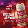 百威啤酒经典纯生330ml*24听整箱装新旧包装随机年货节送礼 703213 商品缩略图3