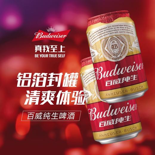 百威啤酒经典纯生330ml*24听整箱装新旧包装随机年货节送礼 703213 商品图3