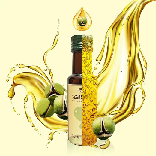 文官果文冠果油协和研发 神经酸无添加炒菜食用油礼盒装100ml*2（WGY1002） 商品图1