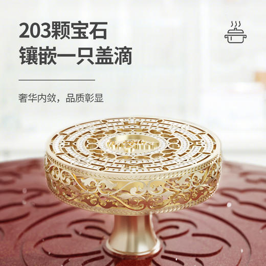 宝玑传世系列珐琅锅24cm锦绣红【ZXADZQ10.0】 商品图1