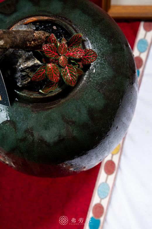 如花似锦 商品图5