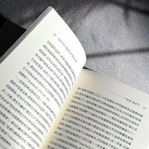 《新科学》 世俗化与“世界文学” 张燕萍 历史与文学视角结合 商品图9