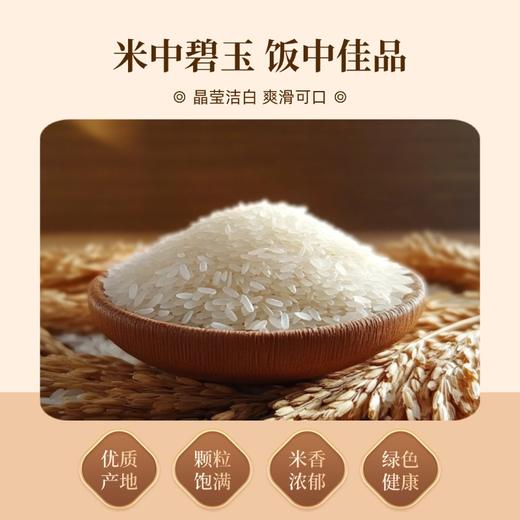 和平乐源 阿公树坝 丝苗米2.5kg 商品图2