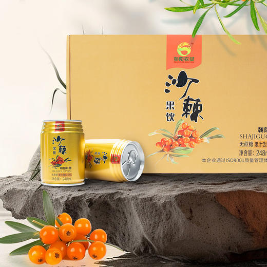 【辽宁农垦】【朝阳农垦】沙棘汁无糖 248ml*10罐 商品图0
