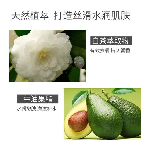 伊丽莎白雅顿白茶身体乳400ml+白茶香水30ml礼盒 商品图8